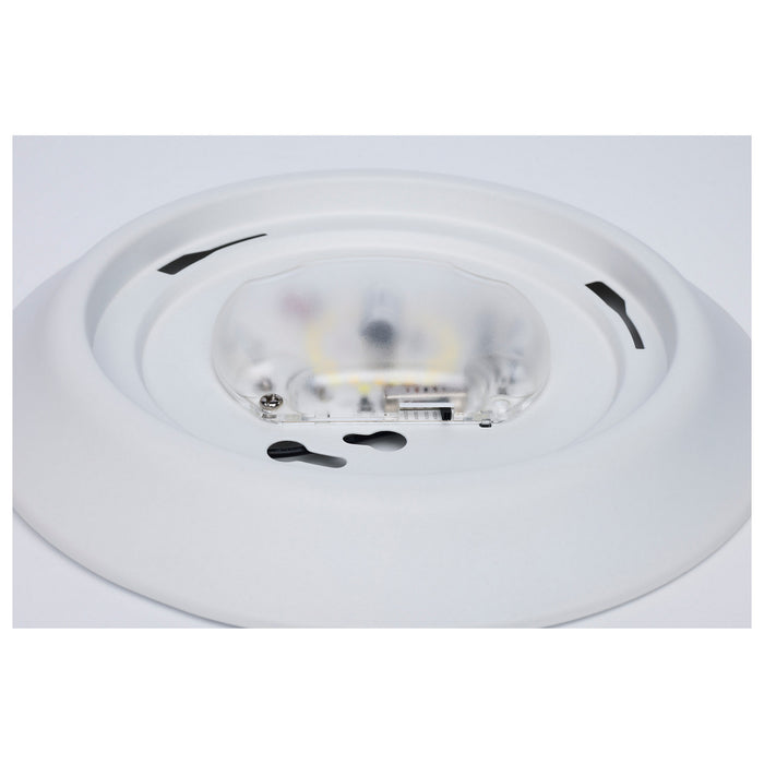 Myhouse Lighting Nuvo Lighting - 62-1805R1 - LED Disk Light - White