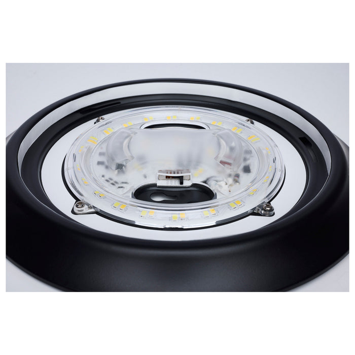 Myhouse Lighting Nuvo Lighting - 62-1814R1 - LED Disk Light - Black