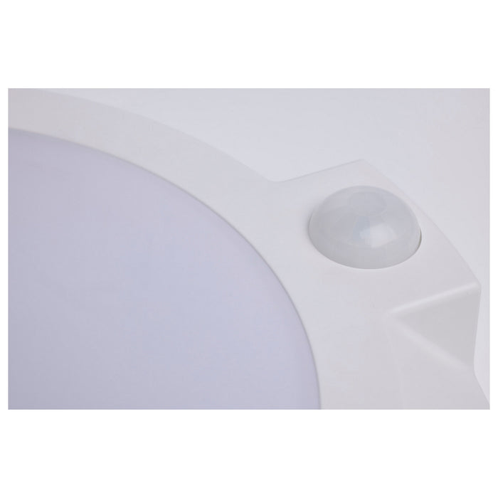 Myhouse Lighting Nuvo Lighting - 62-1821R1 - LED Disk Light - White