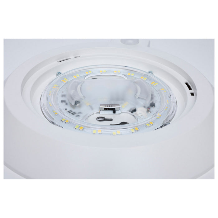 Myhouse Lighting Nuvo Lighting - 62-1821R1 - LED Disk Light - White