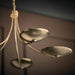 Myhouse Lighting Kichler - 52856CPZ - Five Light Chandelier - Palmela - Champagne Bronze