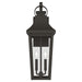 Myhouse Lighting Kichler - 59195OZ - Two Light Outdoor Wall Mount - Cleary - Olde Bronze