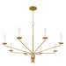 Myhouse Lighting Quoizel - ALEX5040BRG - Eight Light Chandelier - Alexander - Brushed Gold