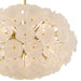 Myhouse Lighting Quoizel - AUD2828BRG - Eight Light Pendant - Audrey - Brushed Gold