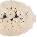 Myhouse Lighting Quoizel - AUD2828MBK - Eight Light Pendant - Audrey - Matte Black