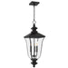 Myhouse Lighting Quoizel - FARL1910MBK - Three Light Outdoor Hanging Lantern - Farley - Matte Black