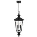 Myhouse Lighting Quoizel - FARL1910MBK - Three Light Outdoor Hanging Lantern - Farley - Matte Black