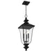 Myhouse Lighting Quoizel - FARL1910MBK - Three Light Outdoor Hanging Lantern - Farley - Matte Black