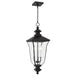 Myhouse Lighting Quoizel - FARL1910MBK - Three Light Outdoor Hanging Lantern - Farley - Matte Black