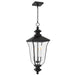 Myhouse Lighting Quoizel - FARL1910MBK - Three Light Outdoor Hanging Lantern - Farley - Matte Black