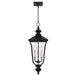 Myhouse Lighting Quoizel - FARL1910MBK - Three Light Outdoor Hanging Lantern - Farley - Matte Black