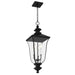 Myhouse Lighting Quoizel - FARL1910MBK - Three Light Outdoor Hanging Lantern - Farley - Matte Black