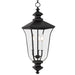 Myhouse Lighting Quoizel - FARL1910MBK - Three Light Outdoor Hanging Lantern - Farley - Matte Black