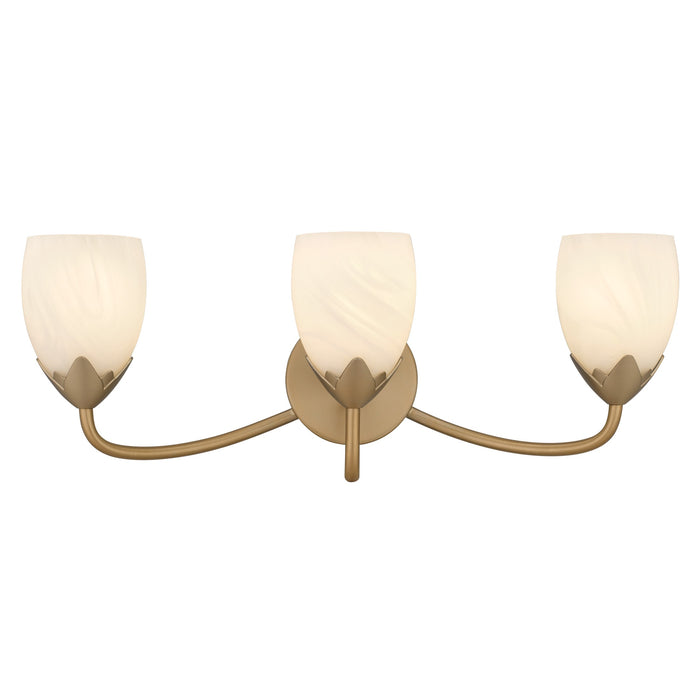 Myhouse Lighting Quoizel - JACO8624BGD - Three Light Vanity - Jacobs - Bronze Gold