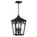 Myhouse Lighting Quoizel - JAX1910WT - Four Light Outdoor Hanging Lantern - Jaxon - Western Bronze