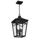 Myhouse Lighting Quoizel - JAX1910WT - Four Light Outdoor Hanging Lantern - Jaxon - Western Bronze