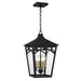 Myhouse Lighting Quoizel - JAX1910WT - Four Light Outdoor Hanging Lantern - Jaxon - Western Bronze