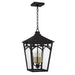 Myhouse Lighting Quoizel - JAX1910WT - Four Light Outdoor Hanging Lantern - Jaxon - Western Bronze