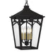Myhouse Lighting Quoizel - JAX1910WT - Four Light Outdoor Hanging Lantern - Jaxon - Western Bronze