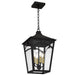 Myhouse Lighting Quoizel - JAX1910WT - Four Light Outdoor Hanging Lantern - Jaxon - Western Bronze