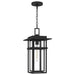 Myhouse Lighting Quoizel - MORG1910EK - One Light Outdoor Hanging Lantern - Morgan - Earth Black