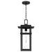 Myhouse Lighting Quoizel - MORG1910EK - One Light Outdoor Hanging Lantern - Morgan - Earth Black