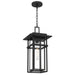 Myhouse Lighting Quoizel - MORG1910EK - One Light Outdoor Hanging Lantern - Morgan - Earth Black