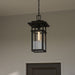 Myhouse Lighting Quoizel - MORG1910EK - One Light Outdoor Hanging Lantern - Morgan - Earth Black