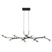 Myhouse Lighting Quoizel - PCCOR1250MBK - LED Island Pendant - Cora - Matte Black