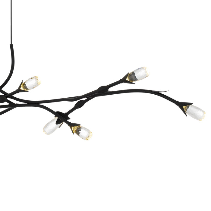 Myhouse Lighting Quoizel - PCCOR1250MBK - LED Island Pendant - Cora - Matte Black