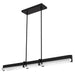 Myhouse Lighting Quoizel - PCTED148MBK - LED Island Pendant - Theodore - Matte Black