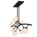 Myhouse Lighting Quoizel - WALK1048MBK - Ten Light Island Pendant - Walker - Matte Black