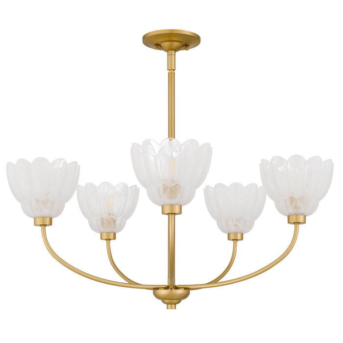 Myhouse Lighting Quoizel - WHP5028BRG - Five Light Chandelier - Whitecap - Brushed Gold