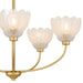 Myhouse Lighting Quoizel - WHP5028BRG - Five Light Chandelier - Whitecap - Brushed Gold