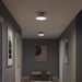 Myhouse Lighting Progress Lighting - P350305-009 - Two Light Flush Mount - Avra - Brushed Nickel