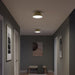 Myhouse Lighting Progress Lighting - P350305-191 - Two Light Flush Mount - Avra - Brushed Gold