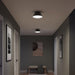 Myhouse Lighting Progress Lighting - P350305-31M - Two Light Flush Mount - Avra - Matte Black