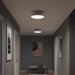 Myhouse Lighting Progress Lighting - P350306-009 - Three Light Flush Mount - Avra - Brushed Nickel