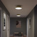Myhouse Lighting Progress Lighting - P350306-191 - Three Light Flush Mount - Avra - Brushed Gold