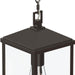Myhouse Lighting Progress Lighting - P550147-020 - One Light Outdoor Pendant - Cantley - Antique Bronze