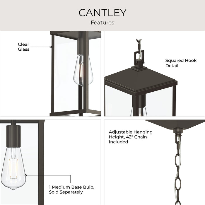 Myhouse Lighting Progress Lighting - P550147-020 - One Light Outdoor Pendant - Cantley - Antique Bronze