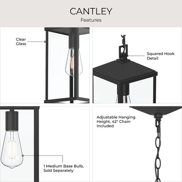 Myhouse Lighting Progress Lighting - P550147-31M - One Light Outdoor Pendant - Cantley - Matte Black