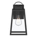 Myhouse Lighting Progress Lighting - P560402-31M - One Light Outdoor Wall Mount - Hedry - Matte Black