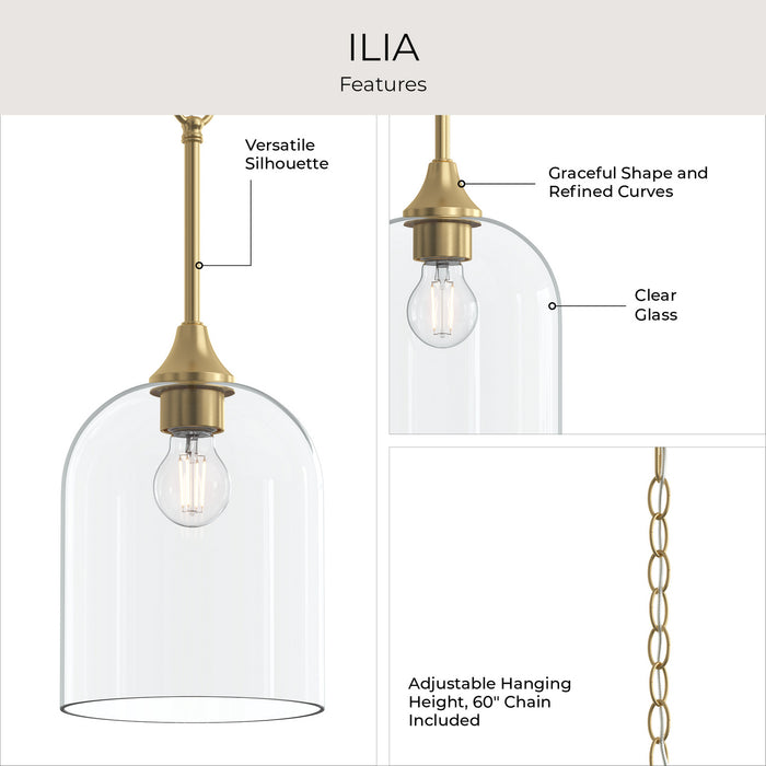 Myhouse Lighting Progress Lighting - P500514-191 - One Light Pendant - Ilia - Brushed Gold