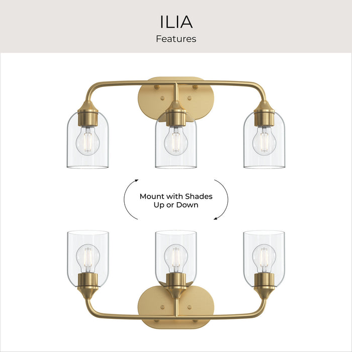 Myhouse Lighting Progress Lighting - P300573-191 - Three Light Bath Vanity - Ilia - Brushed Gold