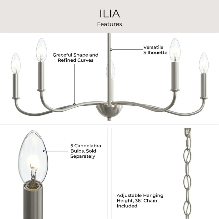 Myhouse Lighting Progress Lighting - P400462-009 - Five Light Chandelier - Ilia - Brushed Nickel