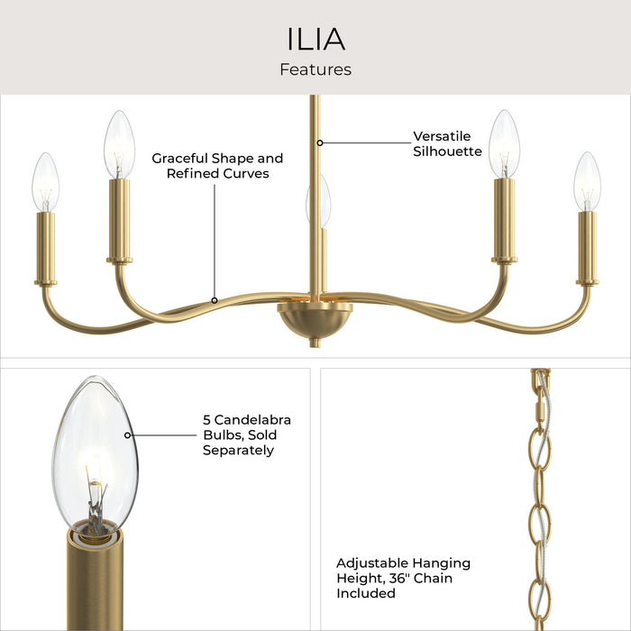 Myhouse Lighting Progress Lighting - P400462-191 - Five Light Chandelier - Ilia - Brushed Gold
