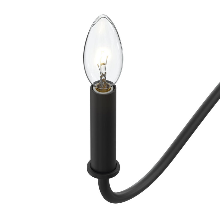 Myhouse Lighting Progress Lighting - P400462-31M - Five Light Chandelier - Ilia - Matte Black