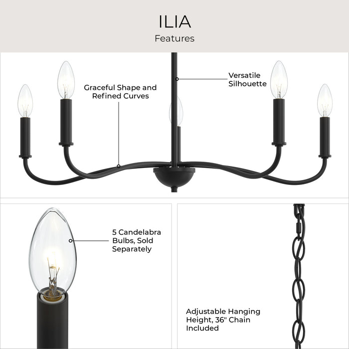 Myhouse Lighting Progress Lighting - P400462-31M - Five Light Chandelier - Ilia - Matte Black