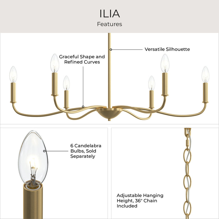 Myhouse Lighting Progress Lighting - P400463-191 - Six Light Chandelier - Ilia - Brushed Gold